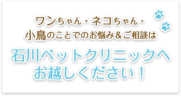 ワンちゃん・ネコちゃん・小鳥のことでのお悩み＆ご相談は石川ペットクリニックへお越しください！