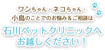 ワンちゃん・ネコちゃん・小鳥のことでのお悩み＆ご相談は石川ペットクリニックへお越しください！